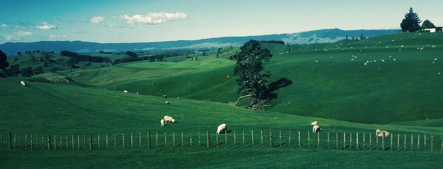 New Zealand New Zealand